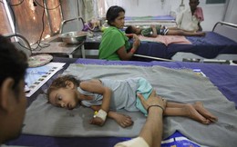 Vì thói quen ăn vải kiểu này, mỗi năm hơn 100 trẻ em ở miền bắc Ấn Độ đã tử vong