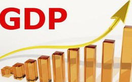 Chính phủ đặt mục tiêu GDP tăng 5-6% trong 10 năm tới