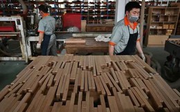 Nhà nhập khẩu gỗ của Trung Quốc khốn khổ vì chiến tranh thương mại