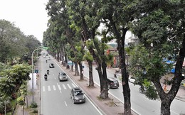 Ảnh: Đường Láng thay đổi bất ngờ, dân Thủ đô cứ ngỡ đang lạc vào đường phố Singapore