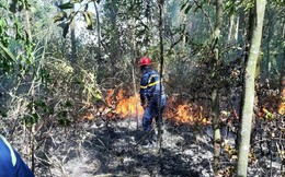 Đà Nẵng: Cháy lớn suốt 5 giờ khiến 3 hecta rừng bị thiêu rụi