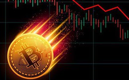 Tiền ảo rực đỏ, Bitcoin rơi tự do
