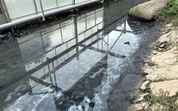 Sông Tô Lịch nước trong, nhìn rõ đáy bùn đang phân hủy nhờ công nghệ Nhật