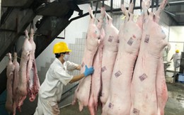 Giá thịt lợn dự kiến sẽ tăng