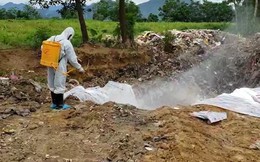 Thanh Hóa: 3 huyện, 178 xã công bố hết dịch