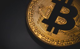 Bitcoin sụp đổ, nhà đầu tư nên mua hay bán?