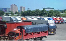 Thực hư hàng trăm container thanh long bị Trung Quốc cấm cửa?