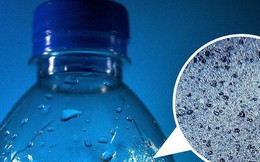 WHO: 90% nước đóng chai có hạt vi nhựa bên trong, và đây là câu trả lời cho việc chúng có hại hay không