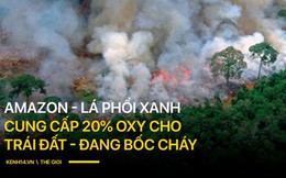 8 tháng 100.000 vụ cháy, thảm họa tầm cỡ địa cầu: Đây là tình hình cháy rừng đang diễn ra tại Amazon vào lúc này
