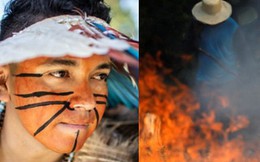 Thảm cảnh của thổ dân trước vụ cháy rừng Amazon tàn khốc nhất lịch sử: "Chúng tôi đã khóc khi dập lửa, nhiều gia đình mất hết tất cả"