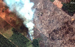 Thảm họa của thế kỉ 21: Rừng Amazon có thể tự dập lửa nhưng bị chính con người “bức tử” và sự trả thù của thiên nhiên sẽ vô cùng tàn khốc