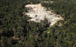 Thợ mỏ trái phép, nông dân và các nhóm khai thác tài nguyên của Brazil: Những thế lực đang âm thầm phá hủy lá phổi xanh Amazon
