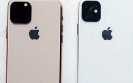Khách Việt chuộng iPhone 11 Pro hay iPhone 11, có nên đặt mua lúc này?