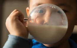 Cơn cuồng sữa của Trung Quốc đang hủy diệt thế giới như thế nào?