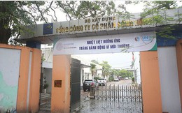 Mất khả năng thanh toán nghiêm trọng, Tổng công ty Sông Hồng xin Thủ tướng cho thoái vốn ngay 2019