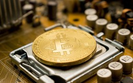 Bitcoin liệu có ‘sụp đổ’?