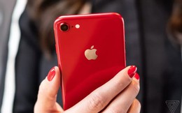 Thông tin rò rỉ về iPhone SE 2 tiếp tục bị lộ: Kiểu dáng như iPhone 8 nhưng phần cứng lại mạnh như iPhone 11?