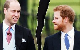 Hoàng tử Harry thừa nhận mối quan hệ rạn nứt với anh trai: "Chúng tôi đang đi trên con đường riêng của mình"?