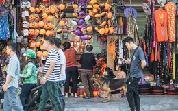 Chùm ảnh: Phố Hàng Mã tràn ngập sắc màu ma quỷ trước ngày lễ Halloween