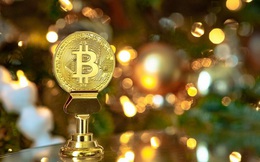 Bitcoin giảm giá thảm hại
