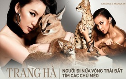 Trang Hà - Cô gái mang những "chú mèo" trị giá hàng tỷ đồng về Việt Nam và tiết lộ trào lưu nuôi thú cưng mới của giới đại gia và siêu giàu tại Sài Gòn
