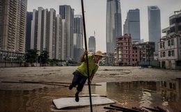 Chuyên gia: Thế giới 2019 ‘nhiều xáo trộn nhất’ và 2020 ‘tồi tệ và đẫm máu hơn’