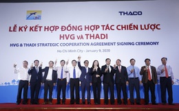 Công ty con của Thaco đã sở hữu hơn 24% vốn tại Thuỷ sản Hùng Vương