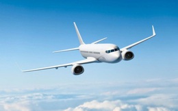 Báo quốc tế viết gì về việc Vinpearl Air rút lui khi chưa kịp cất cánh?