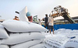 Hàn Quốc dành cho Việt Nam hạn ngạch hơn 55.000 tấn gạo
