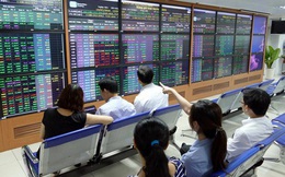 Chứng khoán Bản Việt (VCSC) lên kế hoạch phát hành 800 tỷ trái phiếu: Nhận định đây là kênh huy động vốn tối ưu nhất hiện tại