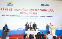 Thaco sẽ nắm 35% vốn của Thuỷ sản Hùng Vương (HVG), rót 65% vào liên doanh nuôi heo giống