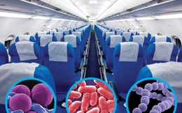 Virus sẽ lây lan như thế nào nếu bạn đi chung máy bay với một người bị ốm?