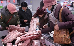 Hàng nghìn container thịt đông lạnh chất đống ở các cảng Trung Quốc vì virus corona