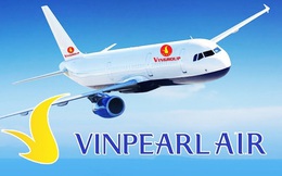 Phó Thủ tướng chỉ đạo gì về việc dừng dự án Vinpearl Air?
