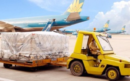Noibai Cargo (NCT) chốt danh sách cổ đông tạm ứng cổ tức bằng tiền tỷ lệ 40%