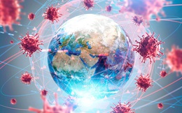 SARS, cúm lợn, Zika và COVID-19: Đâu mới là thảm họa thực sự của loài người?
