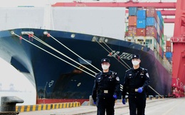 Khủng hoảng container làm khó kinh tế toàn cầu thời đại dịch corona