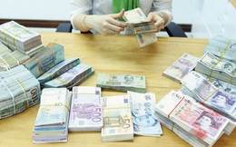 Động thái nới lỏng tiền tệ có thúc đẩy dòng vốn ngoại vào Việt Nam?