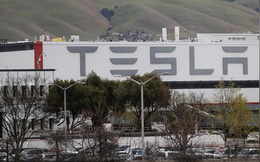 Tesla tạm ngừng sản xuất xe tại Mỹ do Covid-19