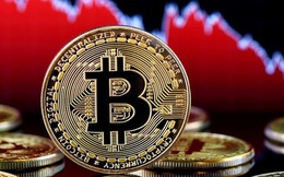 Thị trường tiền ảo cháy rực, Bitcoin trượt về 6.800 USD