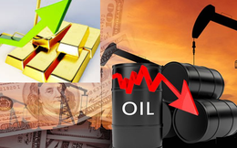 Thị trường tuần tới 25/4: Giá dầu lao dốc 24%, vàng tăng cao