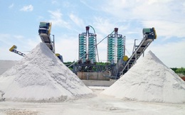 Hậu kiểm toán 2019, BII lỗ 98 tỷ đồng cao gấp 3 lần so với tự lập, bị nghi ngờ khả năng hoạt động liên tục