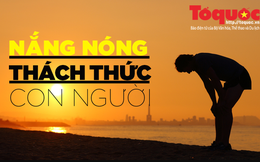 Tác động ngầm đáng sợ của nắng nóng: "Vô hiệu hóa" chức năng quan trọng của cơ thể