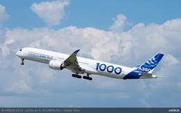 Vì Covid-19, Airbus cắt giảm gần 15.000 việc làm trên toàn cầu
