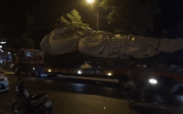 Xôn xao hình ảnh xe chở cây "quái thú" băng băng chạy trên đường ở Nghệ An