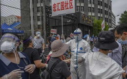 Nhiều nơi ở Trung Quốc phát hiện SARS-CoV-2 trên bao bì tôm nhập khẩu