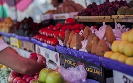Algeria tạm ngừng nhập khẩu đối với 13 mặt hàng trái cây