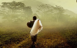 Muốn biết 1 gia đình có thể hưng thịnh hay lụn bại, quan sát 1 biểu hiện này của người đàn ông sẽ có câu trả lời