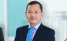 Eximbank bất ngờ miễn nhiệm Phó Chủ tịch HĐQT Đặng Anh Mai