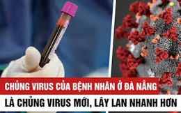 PGS.TS Huynh Wynn Tran: Chủng virus mới tại Việt Nam có thể là chủng D614G - hiện đang hoành hành ở châu Âu và Mỹ